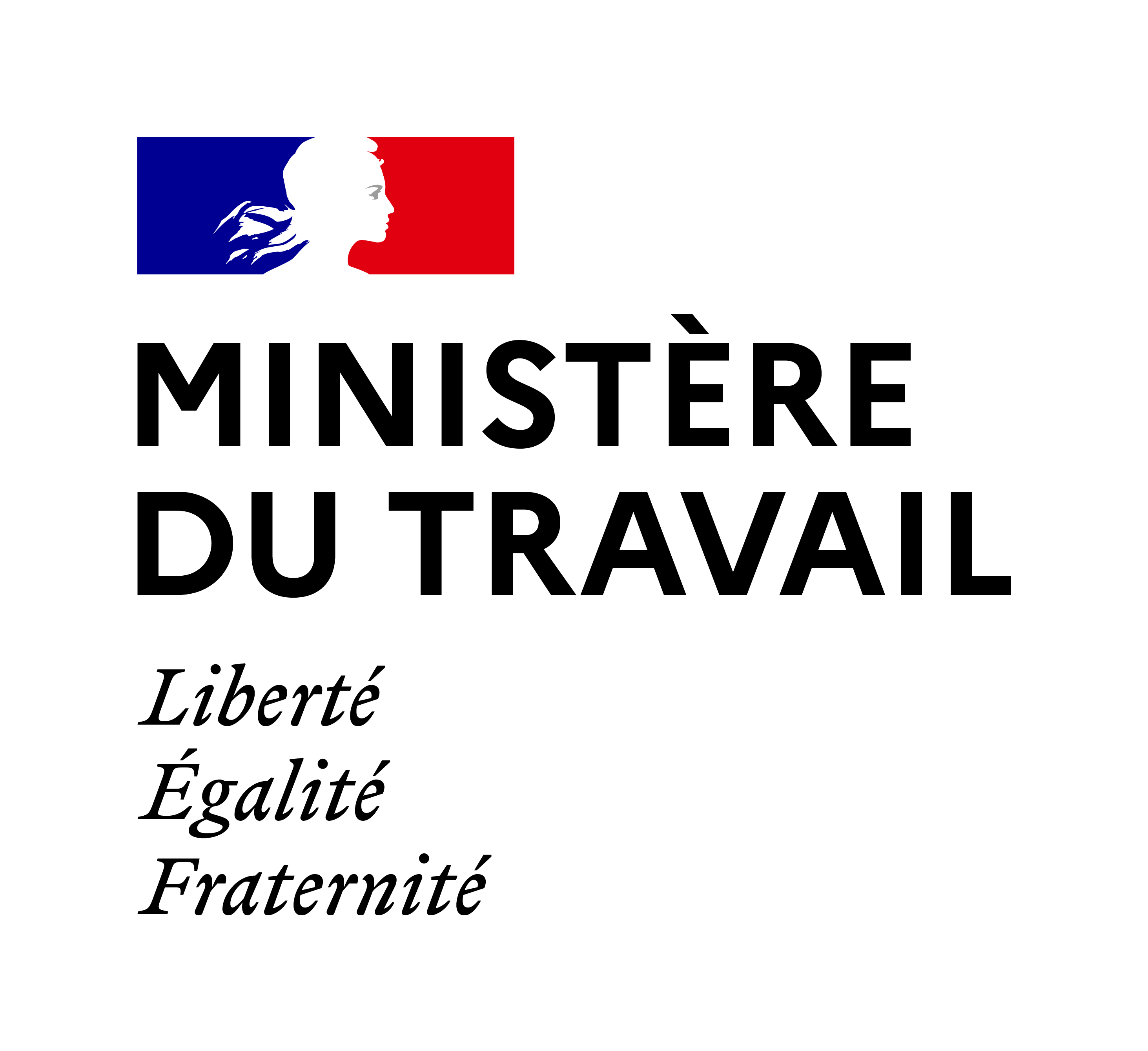 logo ministère du travail